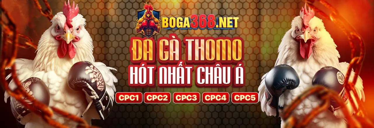 Đá Gà Trực Tuyến do99 nổ hũ
