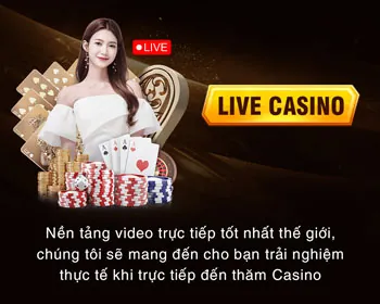 Hỗ trợ VIP 24/7
